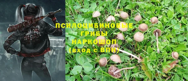 MDMA Нефтегорск