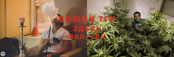 ECSTASY Алексеевка